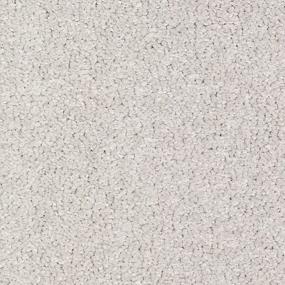 Textured Saxony Notion Gray Carpet