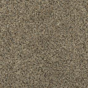 Textured Saxony Treasure Chest Beige/Tan Carpet