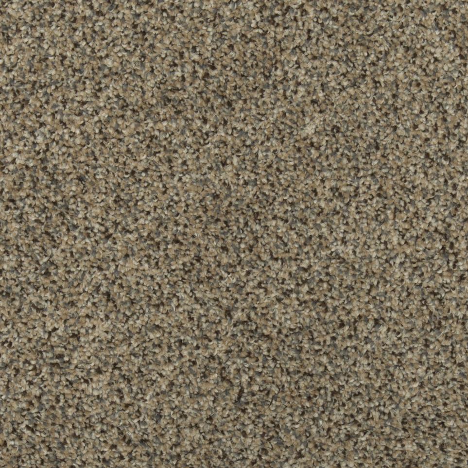 Texture Treasure Chest Beige/Tan Carpet