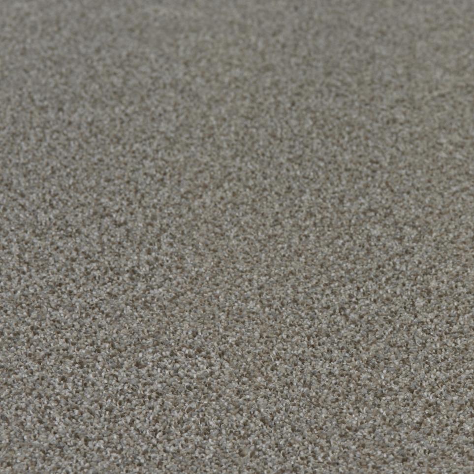 Textured Saxony Perfection Beige/Tan Carpet