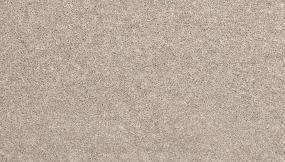 Textured Saxony Frosty Gray Carpet
