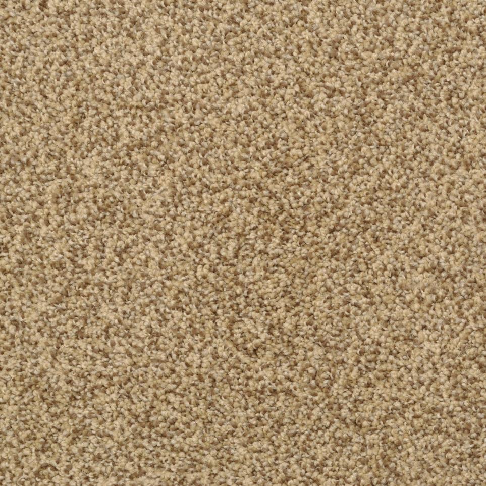 Casual Texture Monarch Brown Carpet