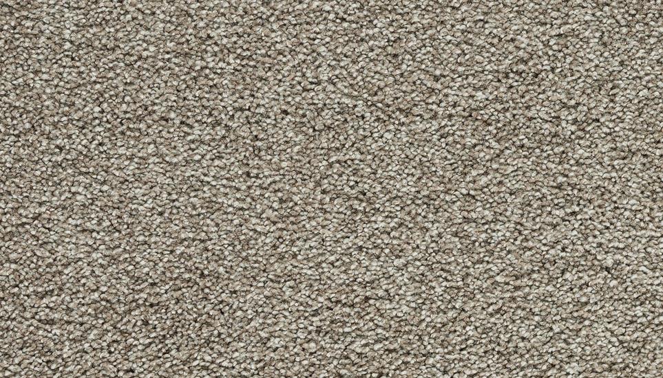 Textured Saxony Shanty Beige/Tan Carpet