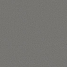 Cut Pile Concrete Gray Carpet