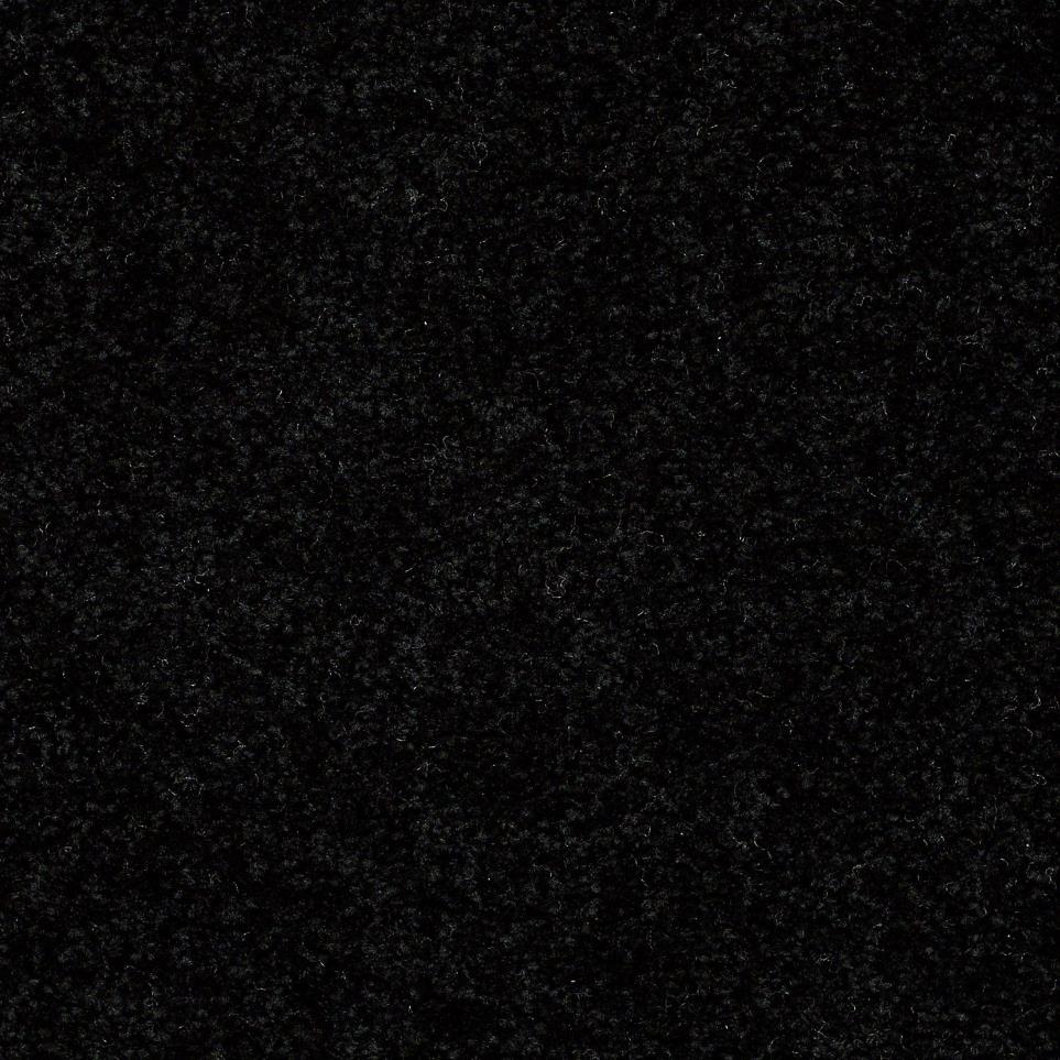 Textured Saxony Tuxedo Black Carpet