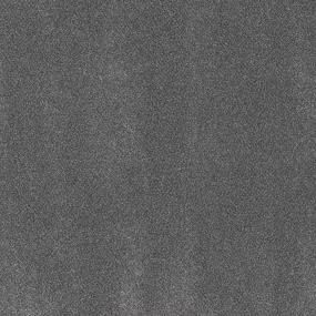 Textured Saxony Alliance Gray Carpet