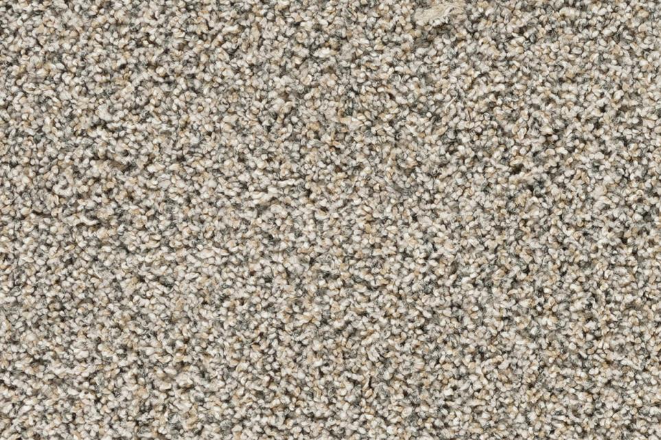 Textured Saxony Fiesta Brown Carpet