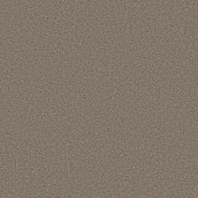 Texture Timber Gray Carpet