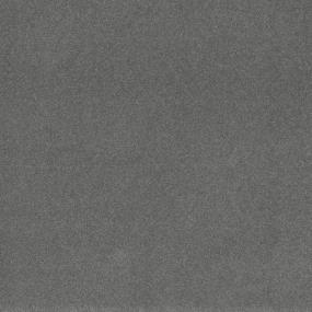 Textured Saxony Outstanding Gray Carpet