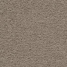 Textured Saxony Druid Brown Carpet
