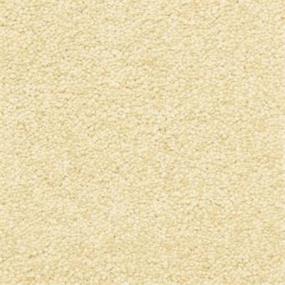 Casual Texture Desert Valley Beige/Tan Carpet
