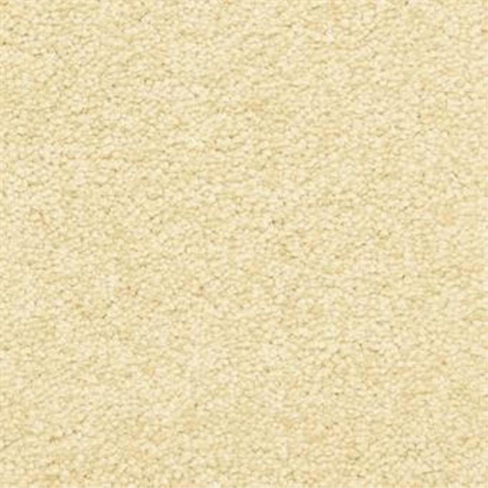 Casual Texture Desert Valley Beige/Tan Carpet
