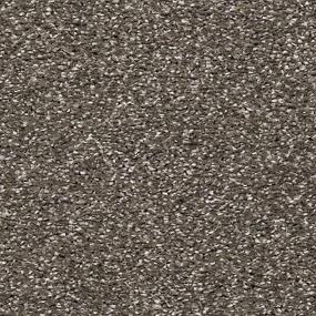 Textured Saxony Expedition Gray Carpet