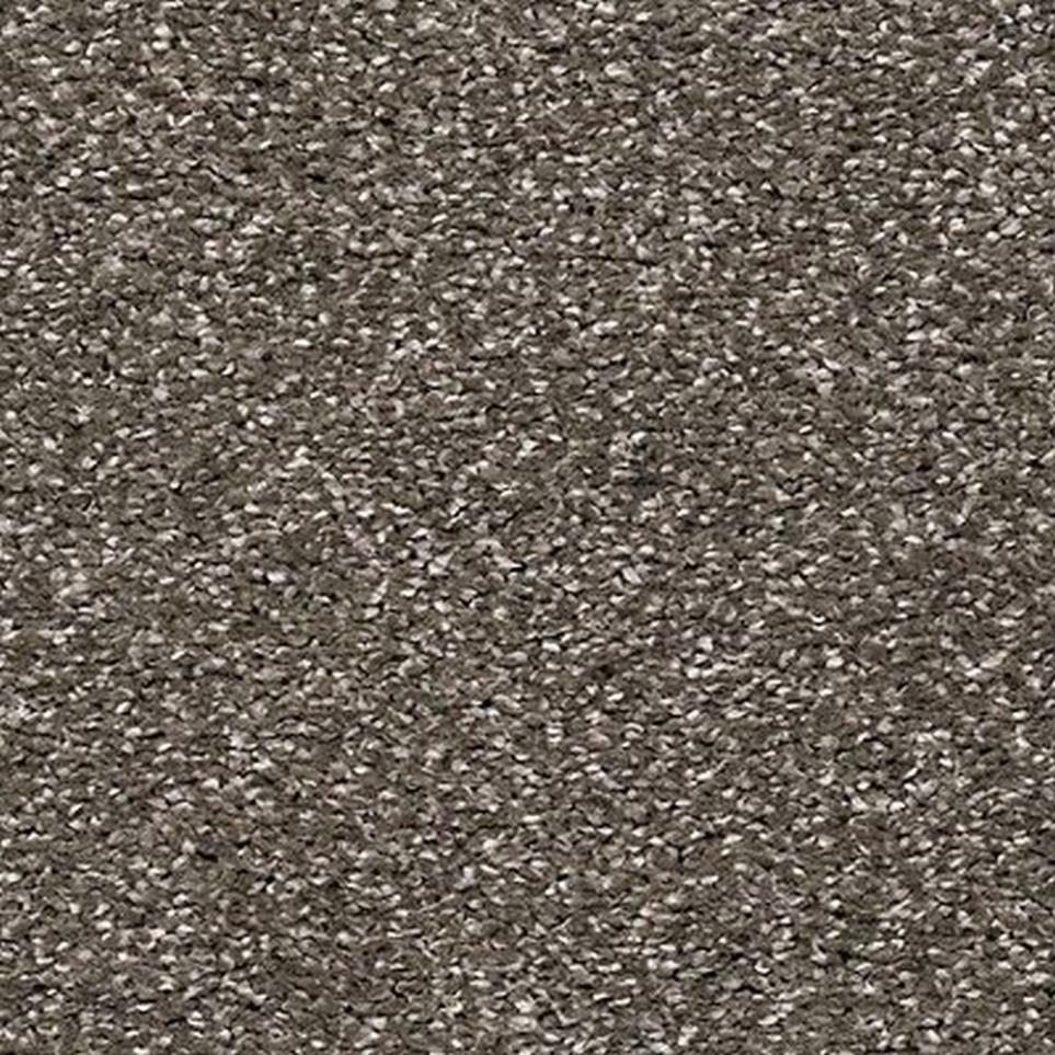 Textured Saxony Expedition Gray Carpet