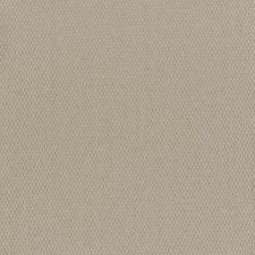 Pattern Peaceful Beige/Tan Carpet
