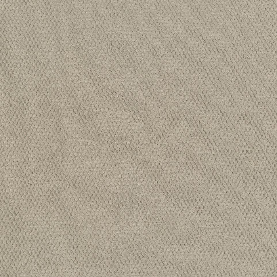 Pattern Peaceful Beige/Tan Carpet