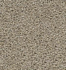 Textured Saxony Structured Beige/Tan Carpet