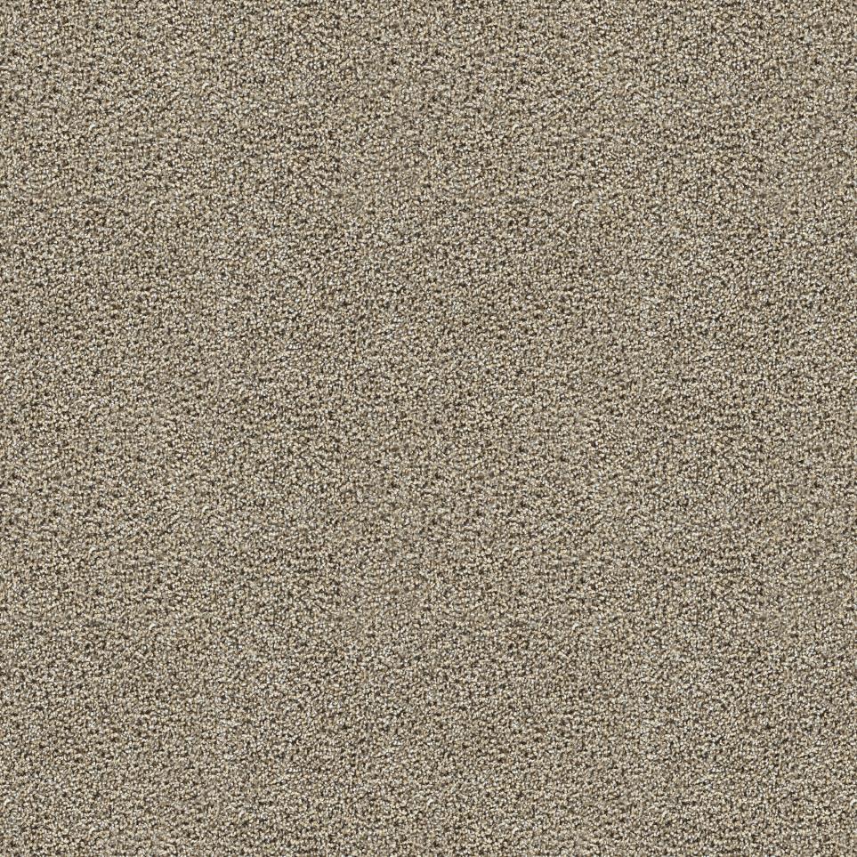Textured Saxony Structured Beige/Tan Carpet