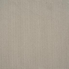 Pattern Westminster Beige/Tan Carpet