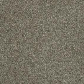 Textured Saxony Pathway Brown Carpet