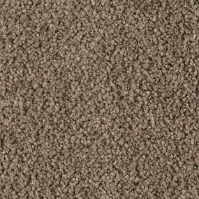 Textured Saxony Rustic Splendor Brown Carpet