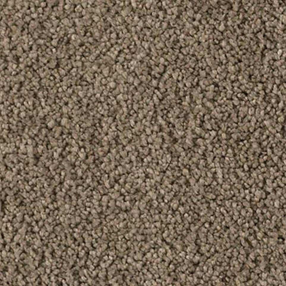 Textured Saxony Rustic Splendor Brown Carpet