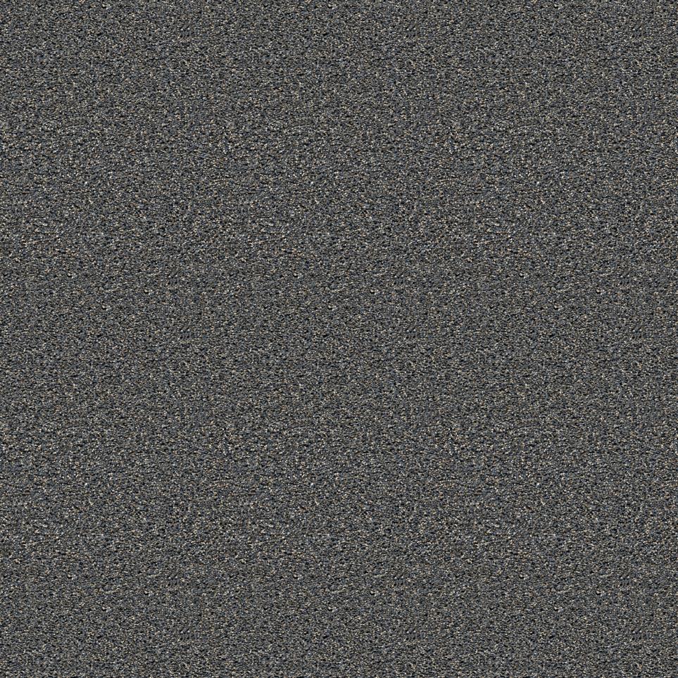 Texture Town Court Gray Carpet