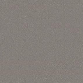 Textured Saxony Pavilion Beige/Tan Carpet