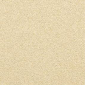 Casual Texture Downtime Beige/Tan Carpet