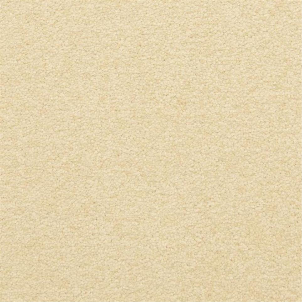 Casual Texture Downtime Beige/Tan Carpet