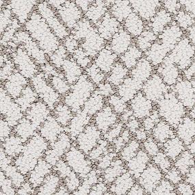 Loop Neutral Ground Gray Carpet