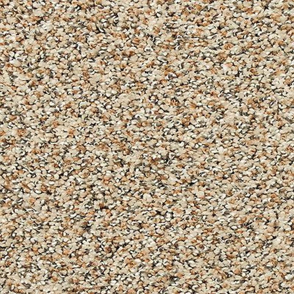 Textured Saxony Softened Ash Beige/Tan Carpet