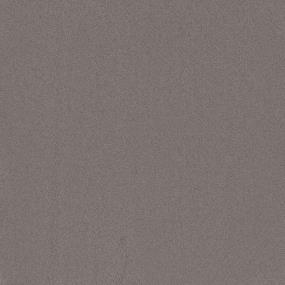 Casual Texture Manatee Gray Carpet