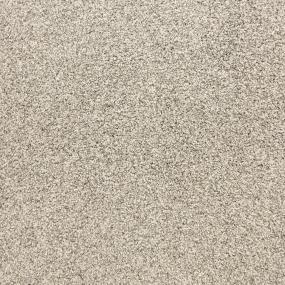 Textured Saxony Granite Beige/Tan Carpet