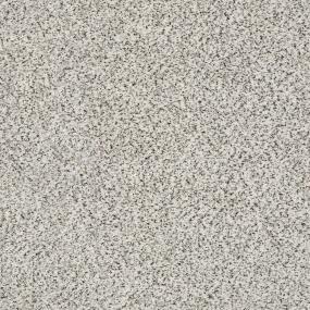 Textured Saxony Nutria Gray Carpet