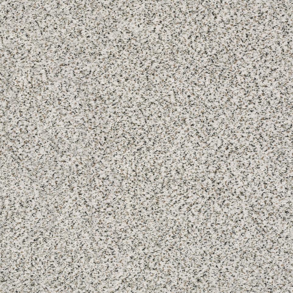 Texture Nutria Gray Carpet
