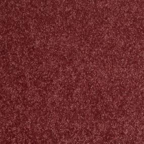 Textured Saxony Lavender Purple Carpet