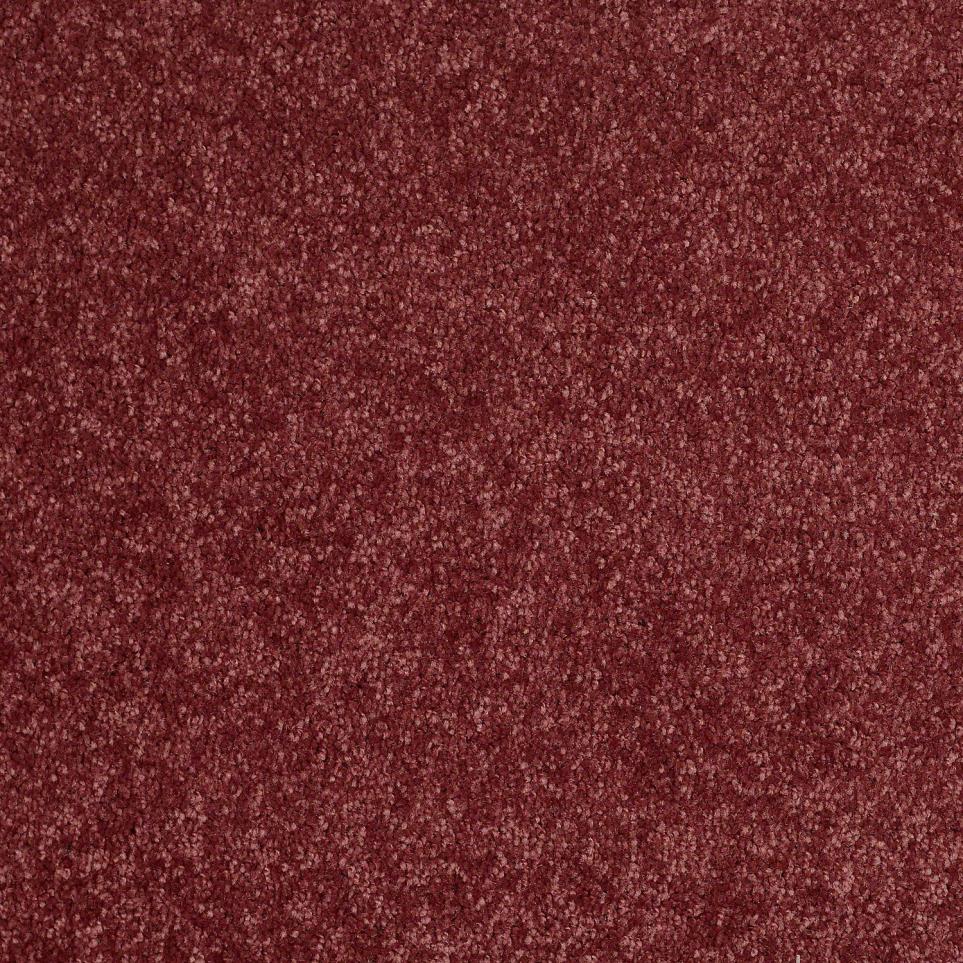 Textured Saxony Lavender Purple Carpet