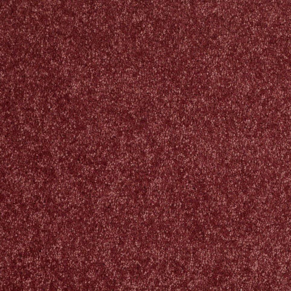 Textured Saxony Lavender Purple Carpet