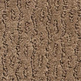 Pattern Basilica Brown Carpet