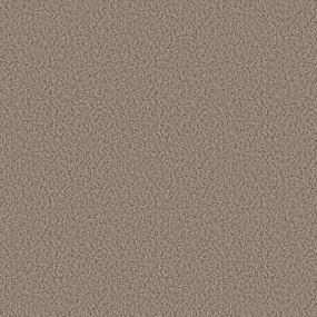 Textured Saxony Dynamo Beige/Tan Carpet