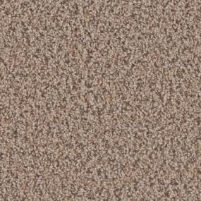 Textured Saxony Dynamo Beige/Tan Carpet