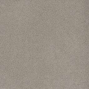 Cut Pile Sonesta Brown Carpet