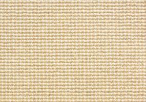 Loop Citron Beige/Tan Carpet