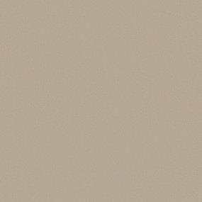 Texture Sand Fossil Beige/Tan Carpet