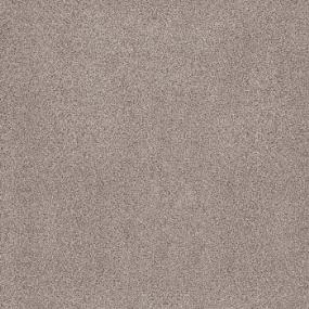 Plush Skyline Beige/Tan Carpet