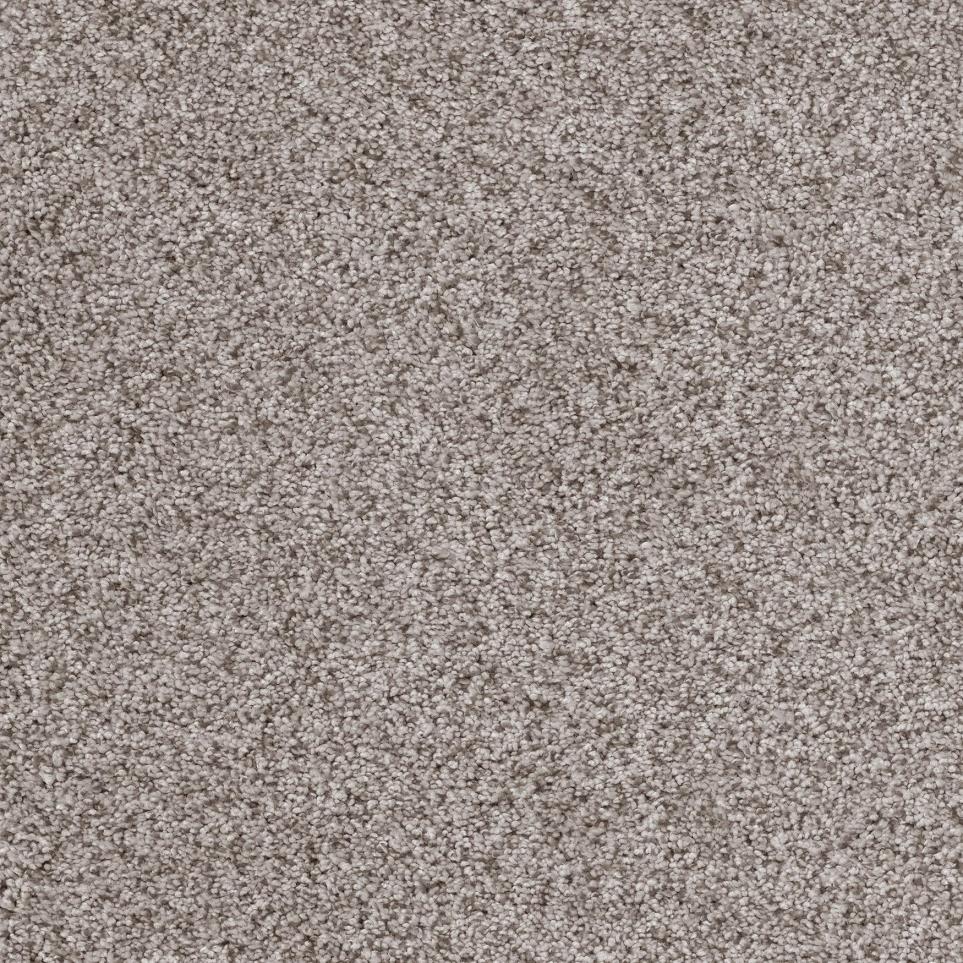 Plush Skyline Beige/Tan Carpet