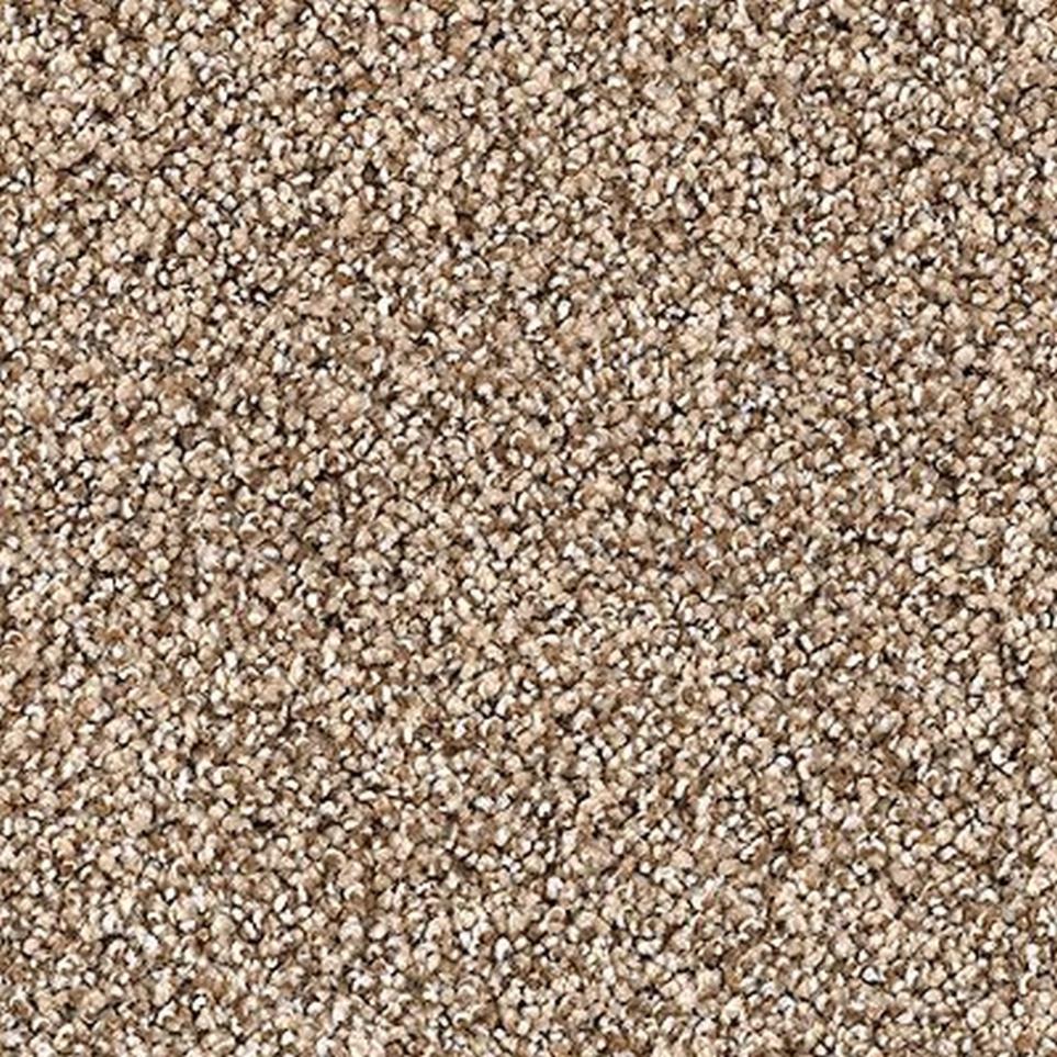 Textured Saxony Folkstone Beige/Tan Carpet