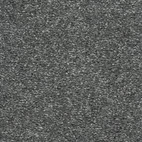 Textured Saxony Dragonfly Gray Carpet