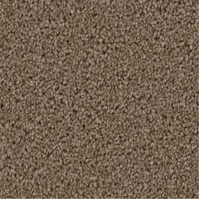 Textured Saxony Ovation Brown Carpet